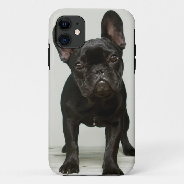 Coques Case-Mate iPhone Le chiot le plus mignon de bouledogue français (Dos)