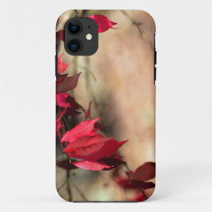 Coque Case-Mate Pour iPhone Le feuillage d'automne de Burning Bush - Euonymus