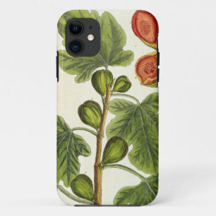 Etui iPhone Case-Mate Le figuier, plaquent 125 "d'un de fines herbes
