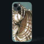 Etui iPhone 13 Le joyau de l'océan<br><div class="desc">Un des plus beaux joyaux de l'océan est dans cette image. Trouvez cette grande coquille de Conch dans cette pièce encadrée d'art moderne. Cette grande image de coquille de Conch a un arrière - plan turquoise,  sépia et coquille blanche. Détendez-vous avec cette grande oeuvre d'art naturel.</div>