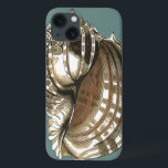 Etui iPhone 13 Le joyau de l'océan<br><div class="desc">Un des plus beaux joyaux de l'océan est dans cette image. Trouvez cette grande coquille de Conch dans cette pièce encadrée d'art moderne. Cette grande image de coquille de Conch a un arrière - plan turquoise,  sépia et coquille blanche. Détendez-vous avec cette grande oeuvre d'art naturel.</div>