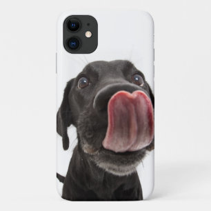 Case-Mate iPhone Case Le Labrador Noir se lâche le nez