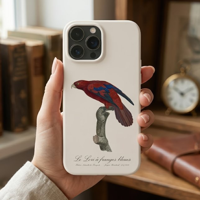 Coques Case-Mate iPhone Le Lori a franges bleues (Long-Tailed Red Lory, Trichoglossus borneus. iPhone Case)