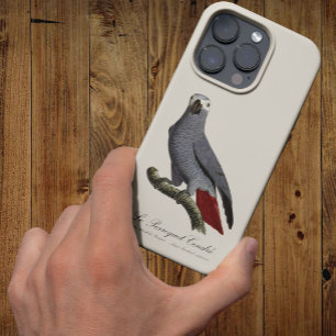 Case-Mate iPhone Case Le Perroquet Cendre - Illustration du XIXe siècle