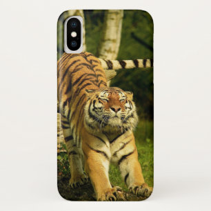 Case-Mate iPhone Case Le Tigres qui s'étire le monde du bon matin