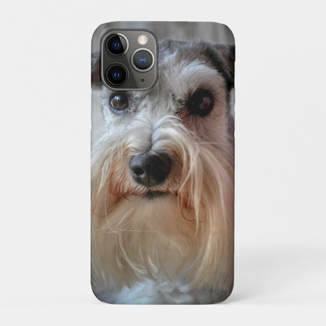 Coques Case-Mate iPhone Le visage de Schnauzer Dog (Dos)