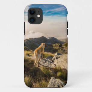 Coque Case-Mate iPhone Le voyage