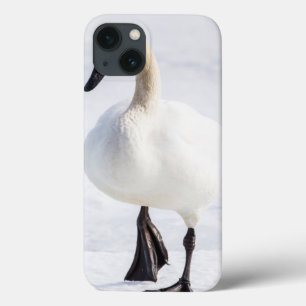 Coques Pour iPhone Le Wyoming, refuge national d'élans, cygne de