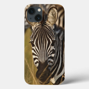Etui iPhone Case-Mate Le zèbre de Burchell dans l'herbe grande d'été,