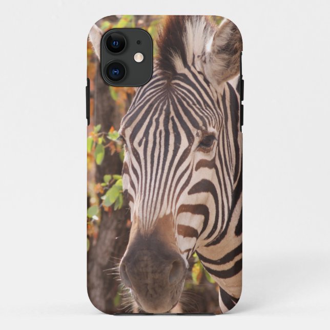 Coques Case-Mate iPhone Le zèbre de Burchell en Afrique avec des rayures e (Dos)