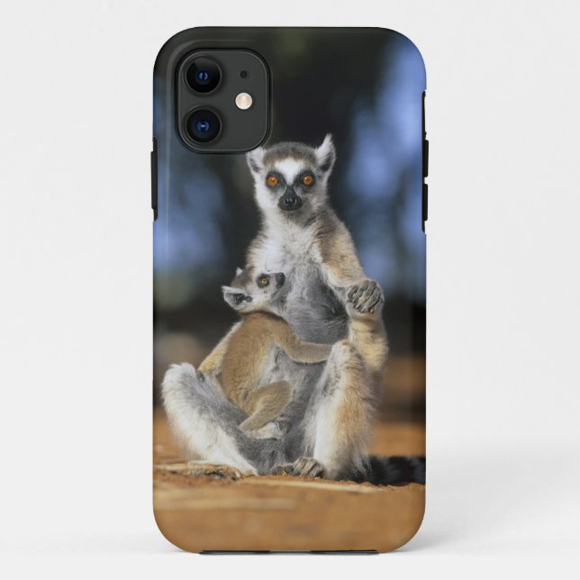 Coques Case-Mate iPhone Lémur à queue annelée, (Lemur catta), Mère et (Dos)