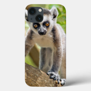 Etui iPhone Case-Mate Lémur anneau-coupé la queue par bébé