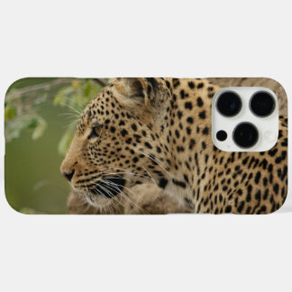 Coque iPhone 16 Pro Max Leopard