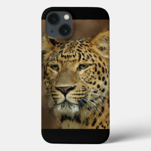 iPhone 13 Coque Leopard Lovers