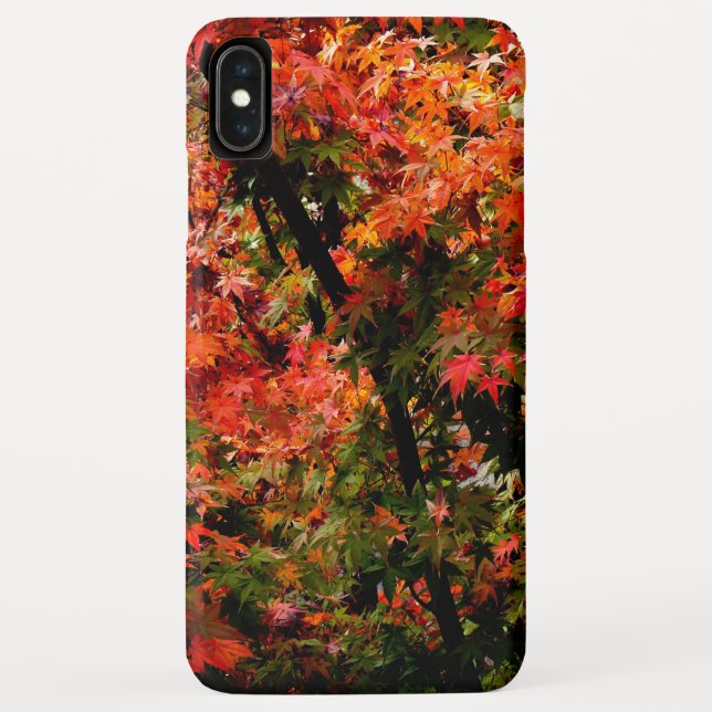 Coques Case-Mate iPhone L'érable japonais à l'automne (Dos)