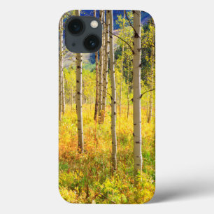 Coque Case-Mate iPhone Les arbres d'Aspen à l'automne dans les Rocheuses