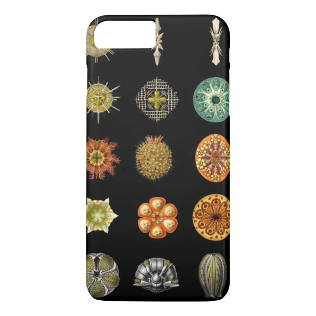 Coques Case-Mate iPhone Les bijoux sous-marins d'Ernst Haeckel (Dos)