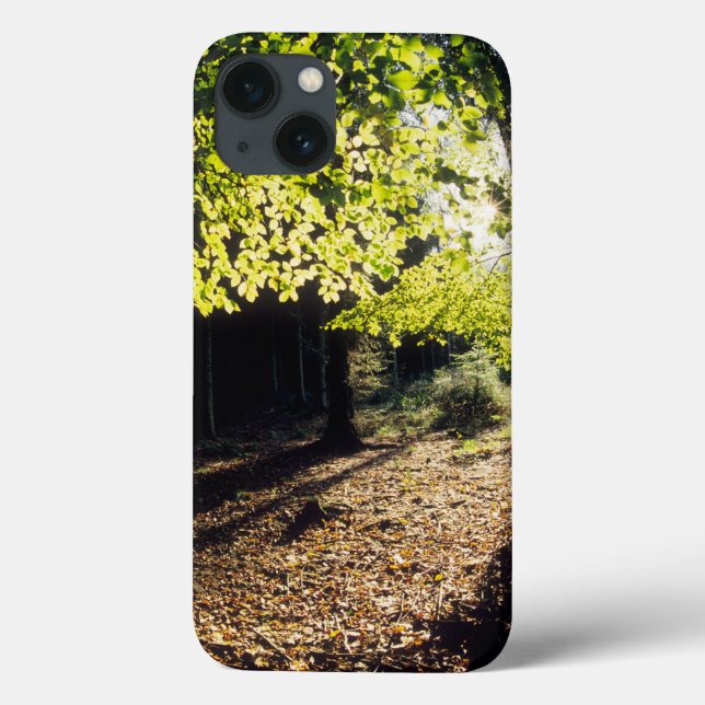 Coques Case-Mate iPhone Les bois au printemps (Verso)