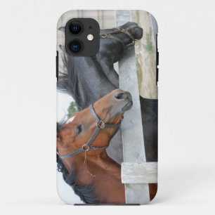 Coque iPhone 11 Les Chevaux d'Amour