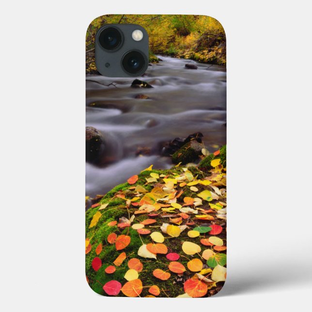 Coques Case-Mate iPhone Les couleurs d'automne le long de McGee Creek (Verso)