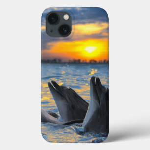 iPhone 13 Coque Les dauphins bouteille-flairés dans la lumière de