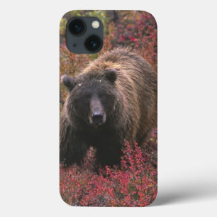 Etui iPhone 13 Les Etats-Unis, Alaska, parc national de Denali.
