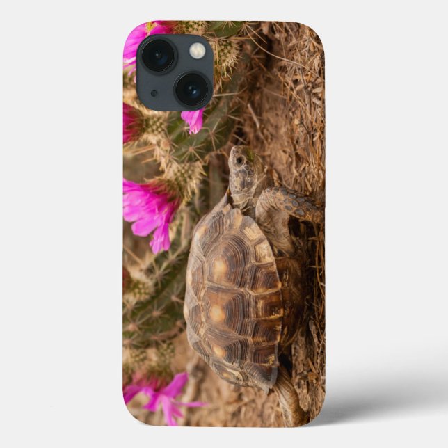 Coques Case-Mate iPhone Les Etats-Unis, le Texas, le comté de Hidalgo. (Verso)