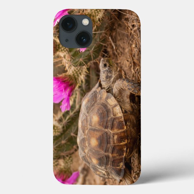 Coques Case-Mate iPhone Les Etats-Unis, le Texas, le comté de Hidalgo. (Verso)