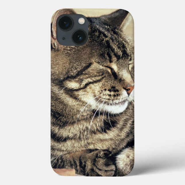 Coques Case-Mate iPhone Les Etats-Unis, Utah, récif NP de capitol. Chat (Verso)