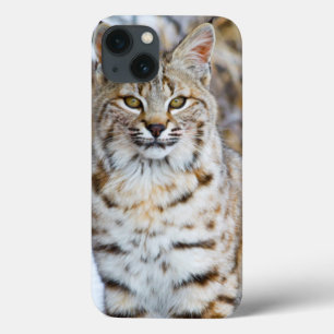 Etui iPhone Case-Mate Les Etats-Unis, Wyoming, portrait de la séance de