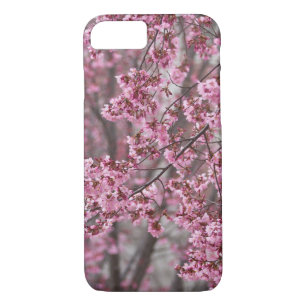Coques Pour iPhone Les fleurs de cerisiers Sakura sont roses
