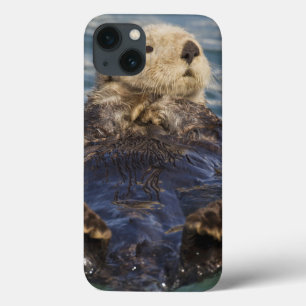 Etui iPhone Case-Mate Les loutres de mer jouent sur les icebergs à Surpr