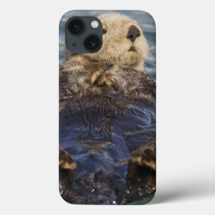 Case-Mate iPhone Case Les loutres de mer jouent sur les icebergs à Surpr