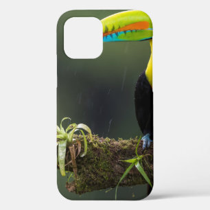 Case-Mate iPhone Case les oiseaux sont les seuls animaux avec plumes 2