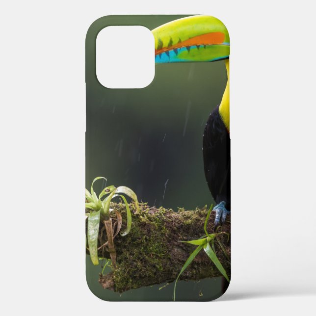Coques Case-Mate iPhone les oiseaux sont les seuls animaux avec plumes 2 (Verso)