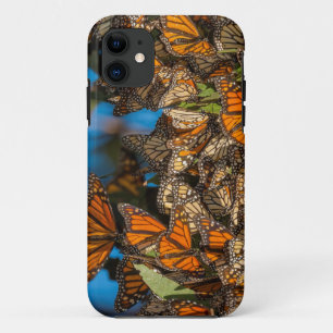 Etui iPhone Case-Mate Les papillons monarques migrateurs s'accrochent au