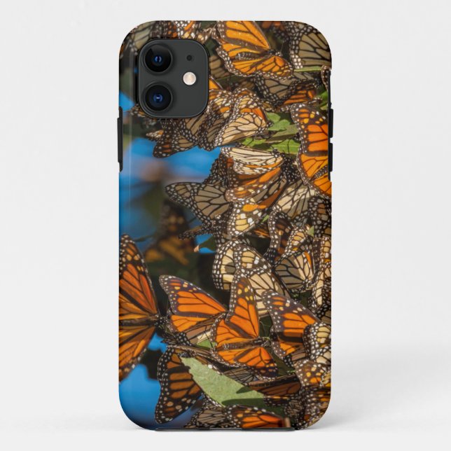 Coques Case-Mate iPhone Les papillons monarques migrateurs s'accrochent au (Dos)