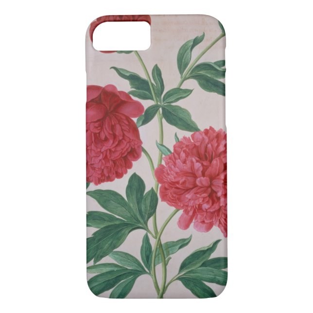 Coques Case-Mate iPhone Les pivoines, plaquent 46 du Florilegium de Nassau (Dos)