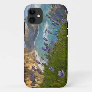 Coque Case-Mate iPhone Les Scenic McWay Falls se jettent sur la plage et