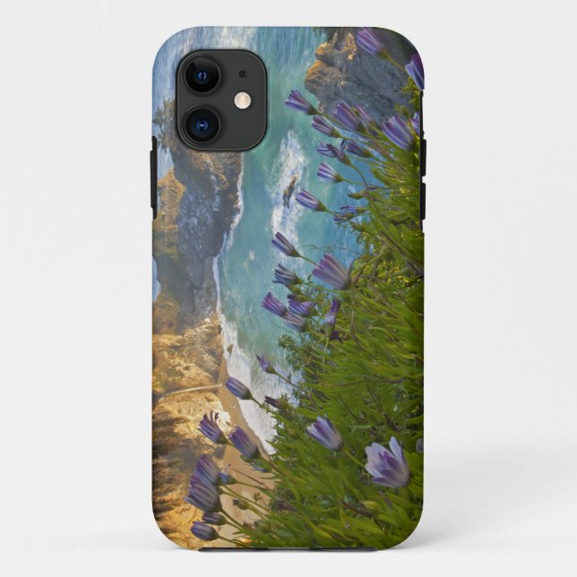 Coques Case-Mate iPhone Les Scenic McWay Falls se jettent sur la plage et (Dos)