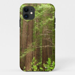 Coque Case-Mate iPhone Les séquoias au monument national de Muir Woods