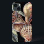 Case-Mate iPhone Case Les trésors de la mer<br><div class="desc">Cet imprimé d'art présente les plus belles choses de la nature dans l'océan. Retrouvez tous les types de vie marine dans cette image, y compris un coquillage de coquillages, des dollars de sable et des récifs enterrés au fond de la mer. Cette collection d'art est un must dans vos prochains...</div>