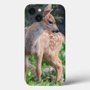 Case-Mate iPhone Case L'état de Washington des Etats-Unis. Faon de cerfs