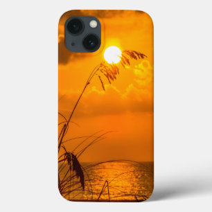 iPhone 13 Coque Lever du soleil dans l'herbe