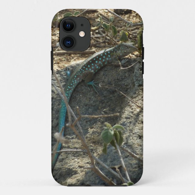 Coques Case-Mate iPhone Lézard fouette-queue d'Aruba Photographie d'animau (Dos)