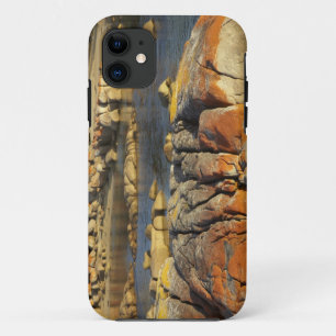 Coques Pour iPhone Lichen orange sur des rochers, Binalong Bay, Baie