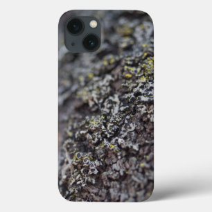 Coque Case-Mate iPhone Lichen sur Bark
