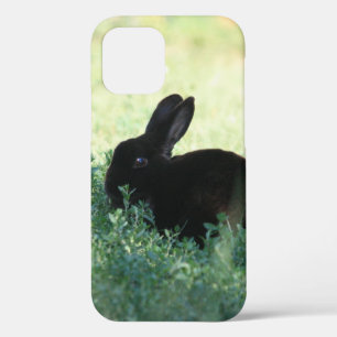 Coque iPhone 12 Lil Black Bunny
