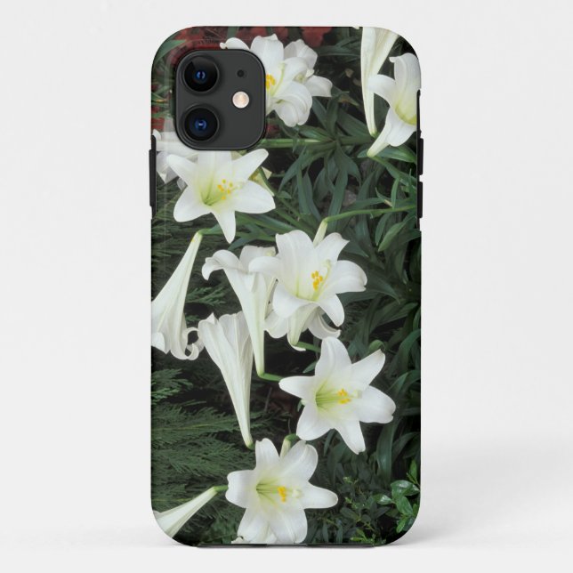 Coques Case-Mate iPhone Lily de Pâques (Lilium regale) (Dos)