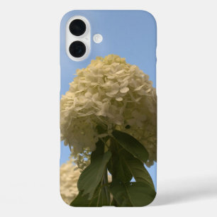 Coques iPhone 16 Plus Lime Hydrangea Fleurs Ciel bleu